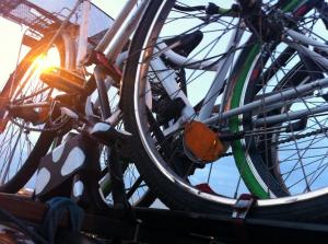 Bocian pilnuje rowerów