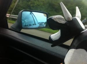 Bocian znów podziwia