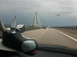 Bocian i długi most