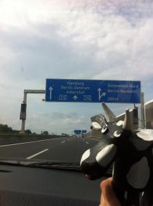 Bocian już prawie na miejscu